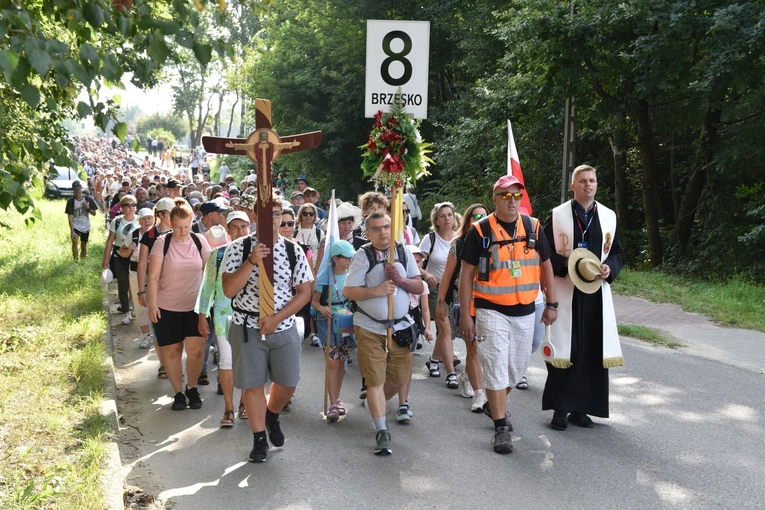 Grupa 8