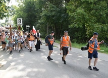 Grupa 8