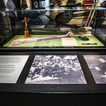 Muzeum Bitwy Warszawskiej. Ekspozycja