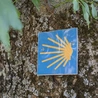 Pożary uniemożliwiają pielgrzymom podróże szlakiem Camino de Santiago