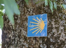 Pożary uniemożliwiają pielgrzymom podróże szlakiem Camino de Santiago