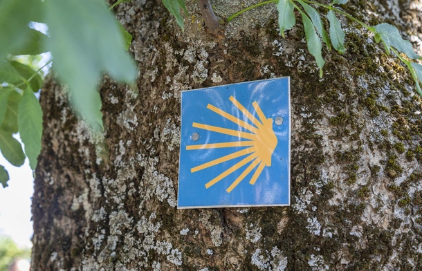 Pożary uniemożliwiają pielgrzymom podróże szlakiem Camino de Santiago