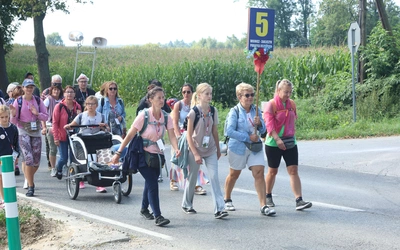 Grupa 5