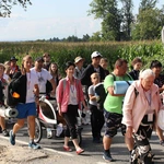 Grupa 8