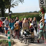 Grupa 8