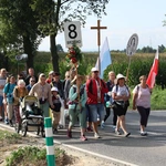 Grupa 8