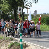 Grupa 8