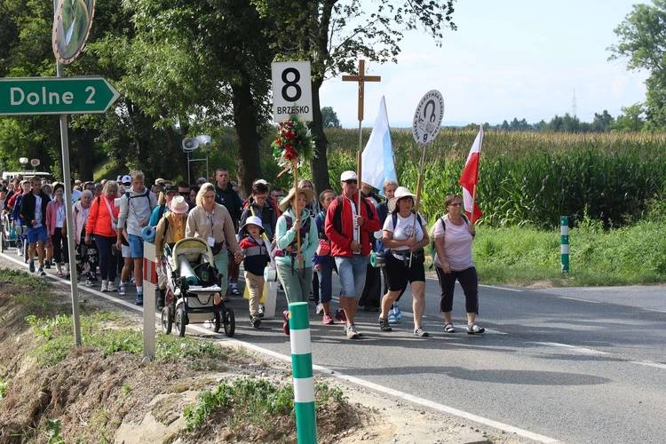 Grupa 8