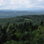 Przed jubileuszem parafii w Mogilanach