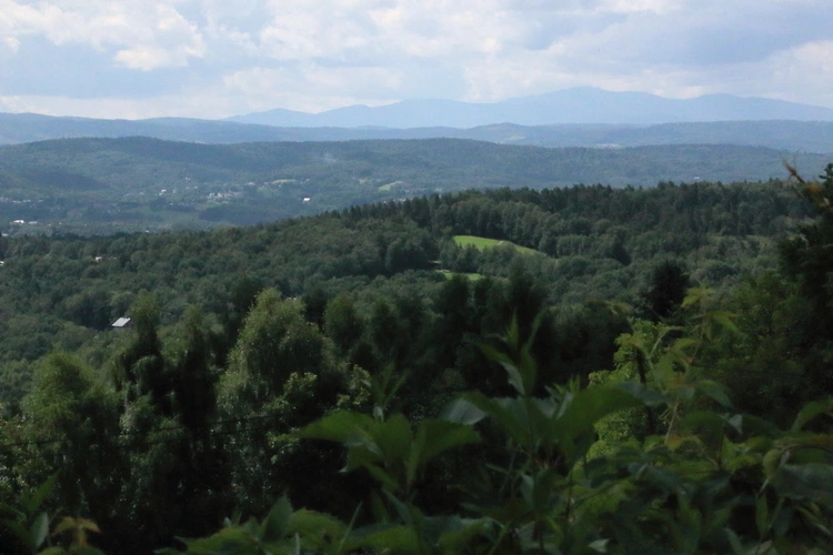 Przed jubileuszem parafii w Mogilanach