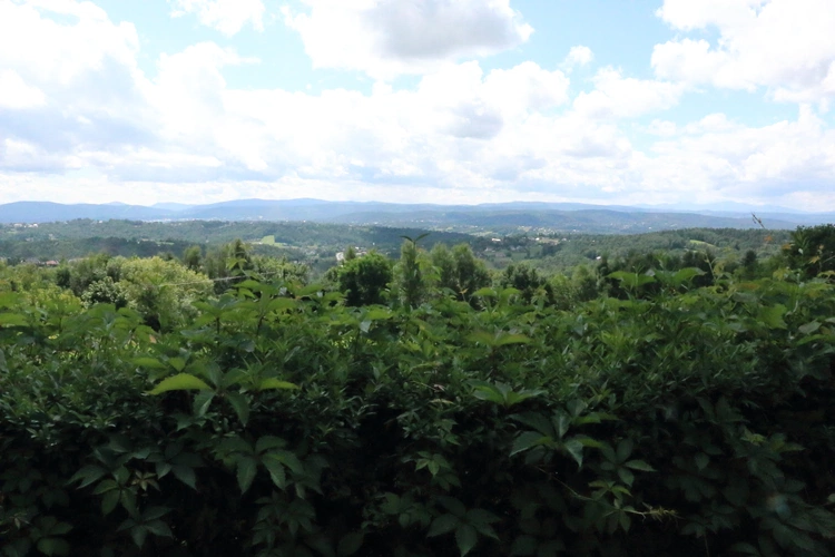 Przed jubileuszem parafii w Mogilanach