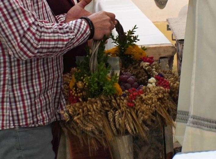 Pielgrzymka osób niepełnosprawnych, ich rodzin i przyjaciół do Henrykowa