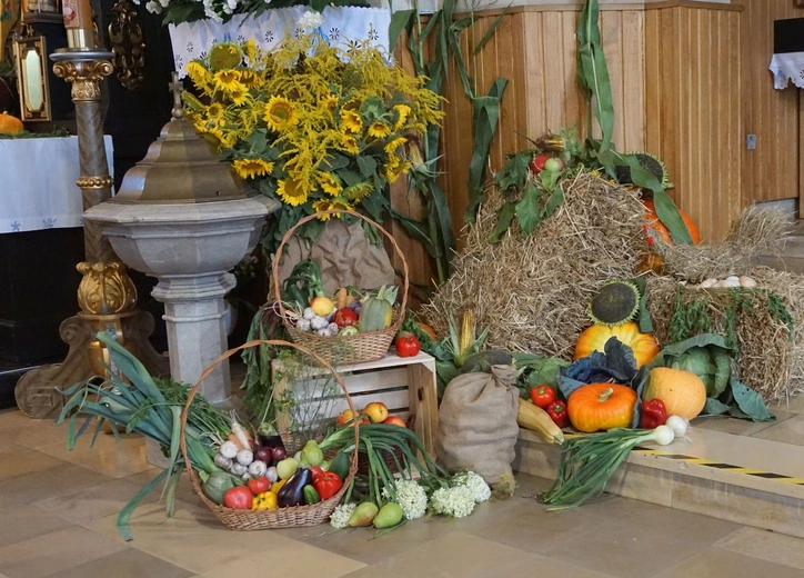 Dożynki diecezjalne w Wielowsi - korony żniwne i plony