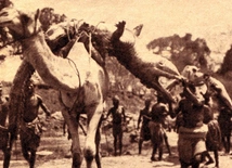 Archiwalna fotografia z około 1900 roku, z safari w Sudanie, przedstawiająca „polowanie na smoka”.  I tu należy przypomnieć, że greckie słowo „drakon” znaczy: smok, wąż, potwór, krokodyl. 