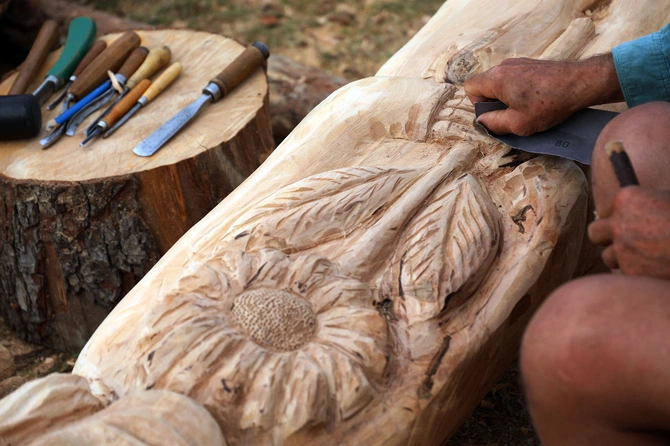 Od pierwszego cięcia 