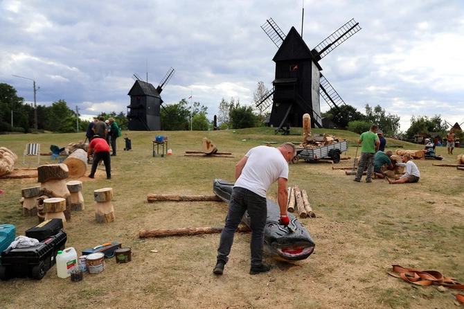 Od pierwszego cięcia 