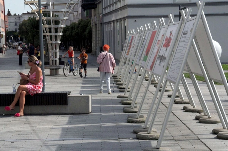 Wystawa "Wolność zaczyna się od słowa solidarność"