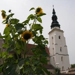 Henrykowskie zakamarki