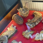 Henrykowskie zakamarki