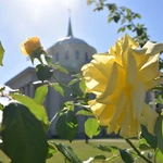 Dąbrowska świątynia jubileuszowa