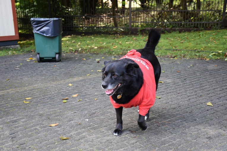 Otwarci na świat 2025