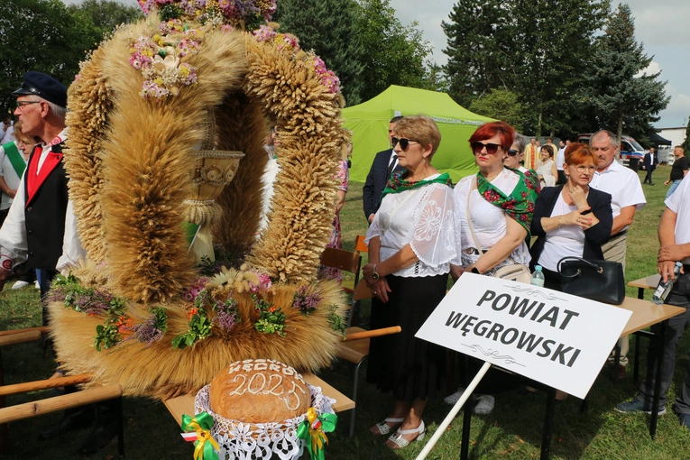 Płońsk. Wojewódzko-diecezjalne święto plonów  cz.I