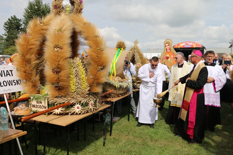 Płońsk. Wojewódzko-diecezjalne święto plonów  cz.I