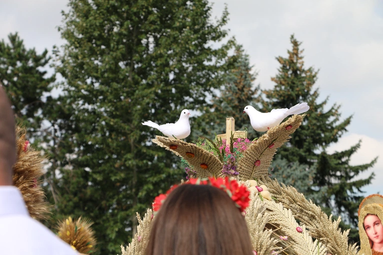 Płońsk. Wojewódzko-diecezjalne święto plonów  cz.I