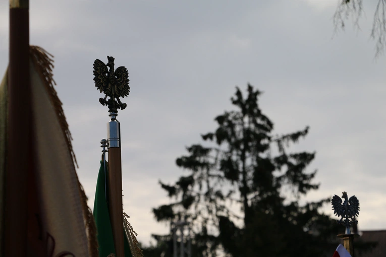 Płońsk. Wojewódzko-diecezjalne święto plonów cz. II