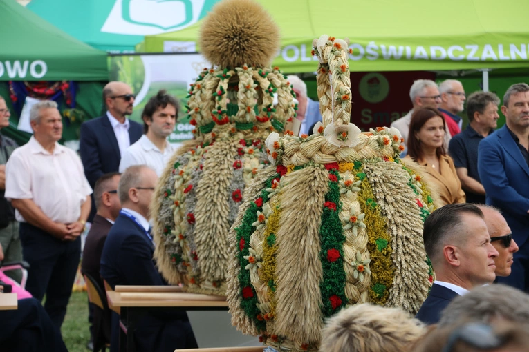 Płońsk. Wojewódzko-diecezjalne święto plonów cz. II