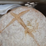 21. Święto Chleba w Wejherowie