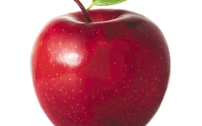 Istockphoto