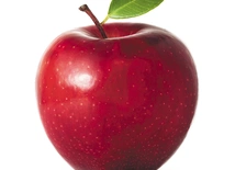 Istockphoto