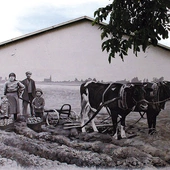 Malowidło przy ul. Opolskiej.