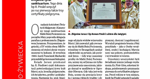 Gość Bielsko-Żywiecki 36/2025