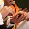 Ślubów cywilnych jest więcej niż konkordatowych