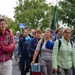 Piesza Pielgrzymka Wrocławska 2025 - przeżyjmy to jeszcze raz!