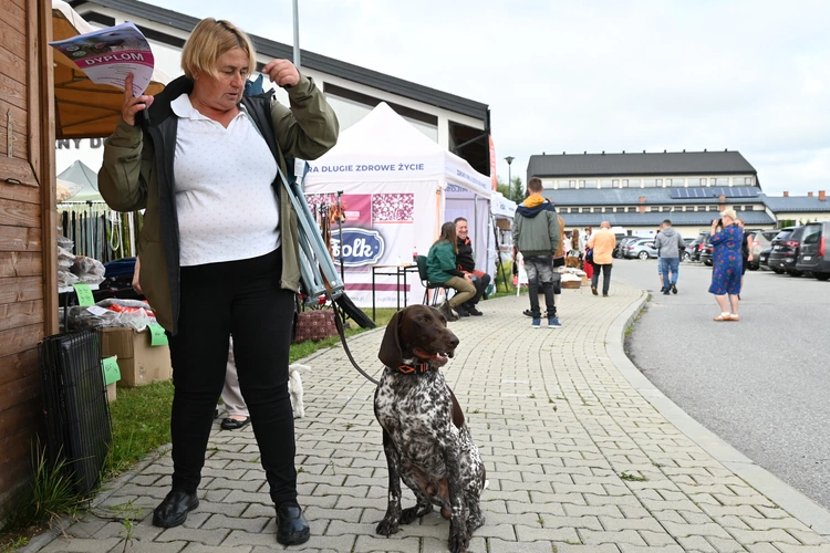XI Międzynarodowa Wystawa Psów Rasowych