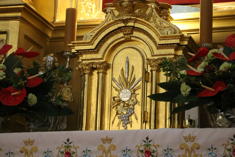 V Młodzieżowa Pielgrzymka z Płońska do Czerwińska n. Wisłą 