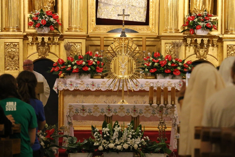 V Młodzieżowa Pielgrzymka z Płońska do Czerwińska n. Wisłą 