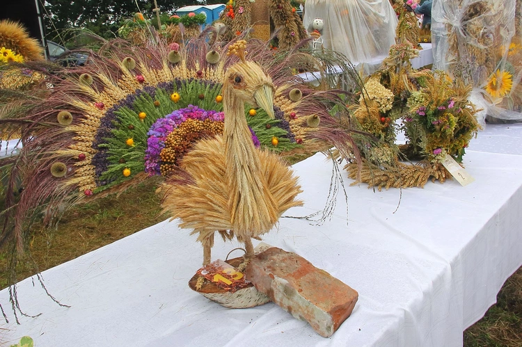 Dożynki w Swołowie - cz. 3