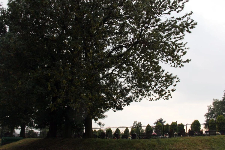 Zalesie Śląskie - Piękna Wieś Opolska 2025