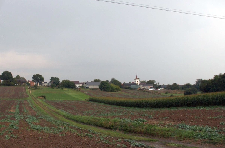 Zalesie Śląskie - Piękna Wieś Opolska 2025