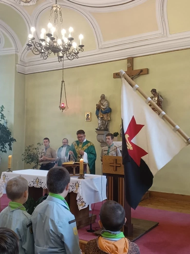 Skauci z apelem