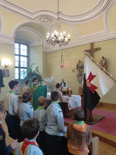Skauci z apelem