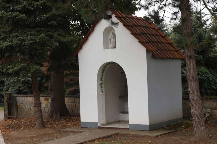 Piknik u Bożogrobców