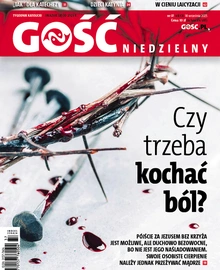 GN 37/2025