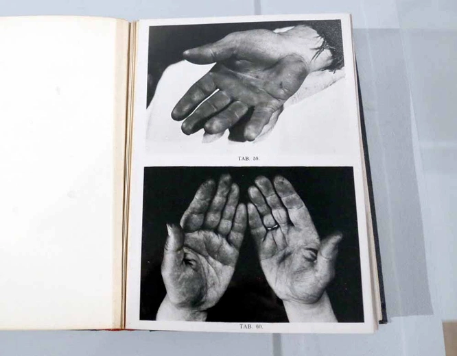 Sztuka lwowianek z okresu modernizmu