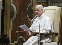 Bez tolerancji dla nadużyć. U Papieża o ochronie nieletnich