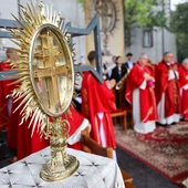 Moc zbawienia płynie z krzyża